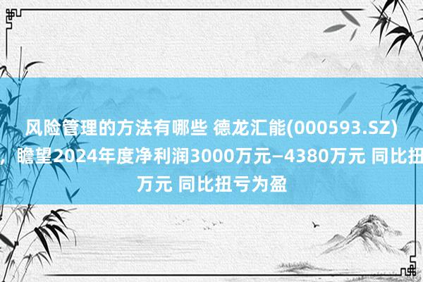 风险管理的方法有哪些 德龙汇能(000593.SZ)发预亏，瞻望2024年度净利润3000万元—4380万元 同比扭亏为盈