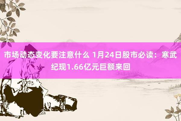 市场动态变化要注意什么 1月24日股市必读：寒武纪现1.66亿元巨额来回