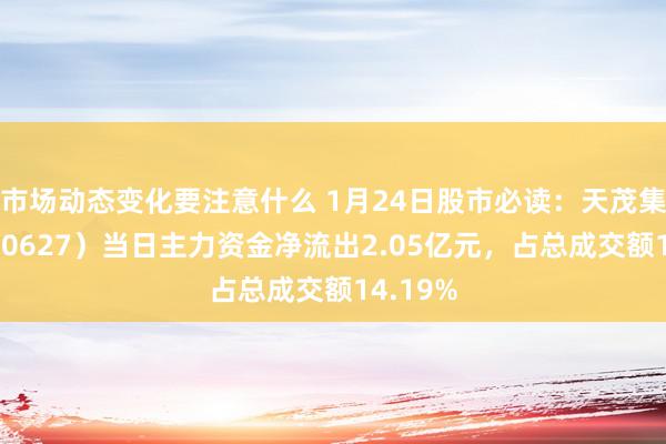 市场动态变化要注意什么 1月24日股市必读：天茂集团（000627）当日主力资金净流出2.05亿元，占总成交额14.19%