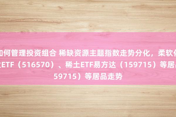 如何管理投资组合 稀缺资源主题指数走势分化，柔软化工行业ETF（516570）、稀土ETF易方达（159715）等居品走势