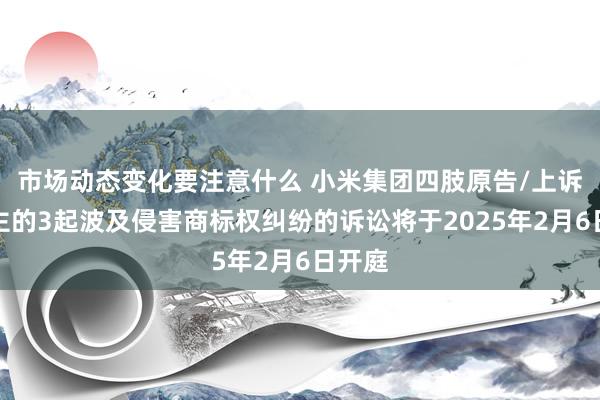 市场动态变化要注意什么 小米集团四肢原告/上诉东谈主的3起波及侵害商标权纠纷的诉讼将于2025年2月6日开庭