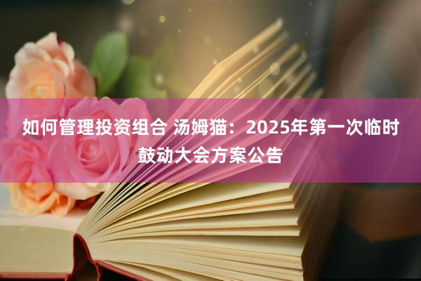 如何管理投资组合 汤姆猫：2025年第一次临时鼓动大会方案公告