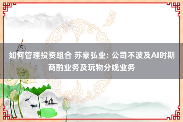 如何管理投资组合 苏豪弘业: 公司不波及AI时期商酌业务及玩物分娩业务