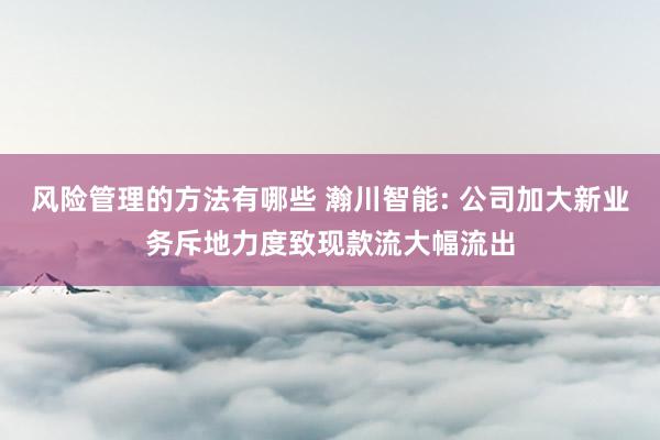 风险管理的方法有哪些 瀚川智能: 公司加大新业务斥地力度致现款流大幅流出