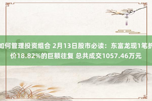 如何管理投资组合 2月13日股市必读：东富龙现1笔折价18.82%的巨额往复 总共成交1057.46万元