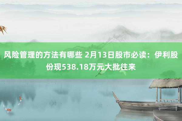 风险管理的方法有哪些 2月13日股市必读：伊利股份现538.18万元大批往来