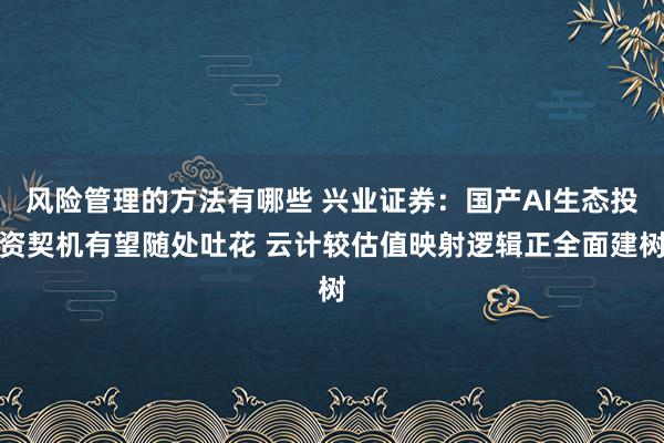 风险管理的方法有哪些 兴业证券：国产AI生态投资契机有望随处吐花 云计较估值映射逻辑正全面建树