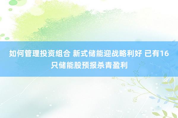 如何管理投资组合 新式储能迎战略利好 已有16只储能股预报杀青盈利