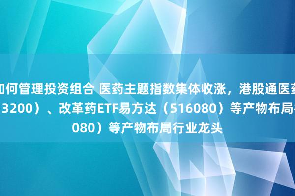 如何管理投资组合 医药主题指数集体收涨，港股通医药ETF（513200）、改革药ETF易方达（516080）等产物布局行业龙头