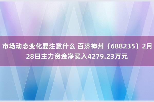 市场动态变化要注意什么 百济神州（688235）2月28日主力资金净买入4279.23万元