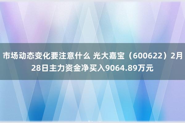 市场动态变化要注意什么 光大嘉宝（600622）2月28日主力资金净买入9064.89万元