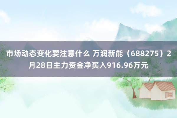 市场动态变化要注意什么 万润新能（688275）2月28日主力资金净买入916.96万元