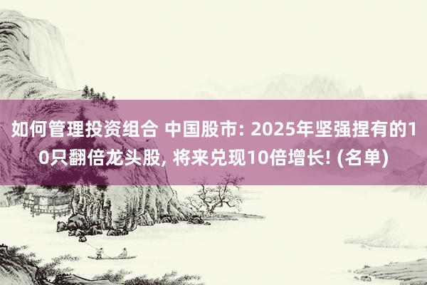 如何管理投资组合 中国股市: 2025年坚强捏有的10只翻倍龙头股, 将来兑现10倍增长! (名单)