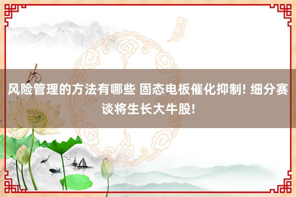 风险管理的方法有哪些 固态电板催化抑制! 细分赛谈将生长大牛股!