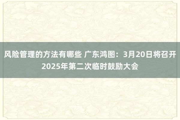 风险管理的方法有哪些 广东鸿图：3月20日将召开2025年第二次临时鼓励大会