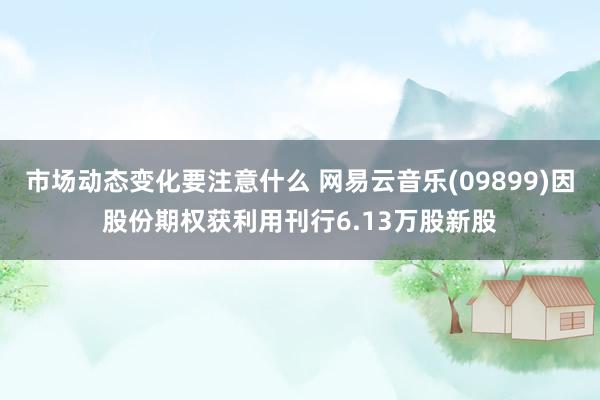 市场动态变化要注意什么 网易云音乐(09899)因股份期权获利用刊行6.13万股新股